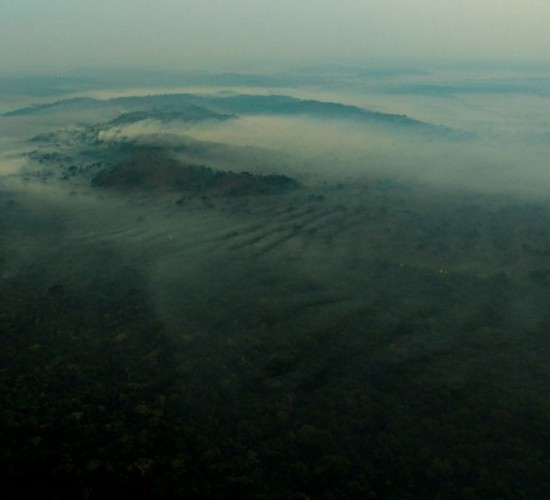 Fogo atinge Parque Cristalino há um mês, aponta observatório