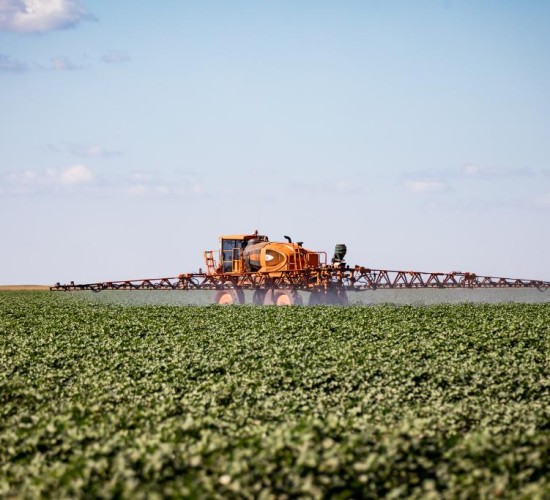 Mato Grosso puxa alta na estimativa de produção agrícola e consolida liderança nacional