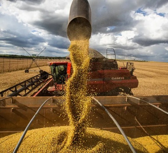 Mato Grosso amplia área produtiva e produtividade e chega a 111,9 milhões de toneladas de grãos na safra 2425