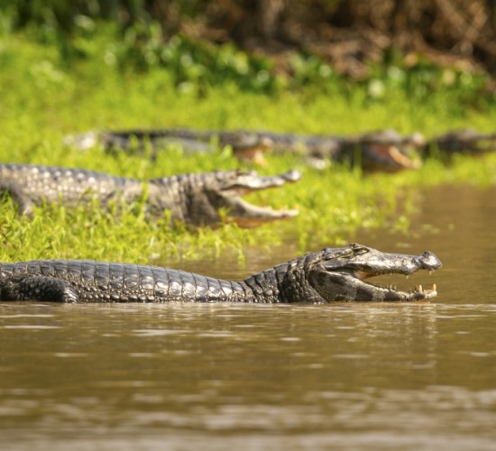 Feirão Fit Turismo oferece descontos de até 20% em viagens por Mato Grosso