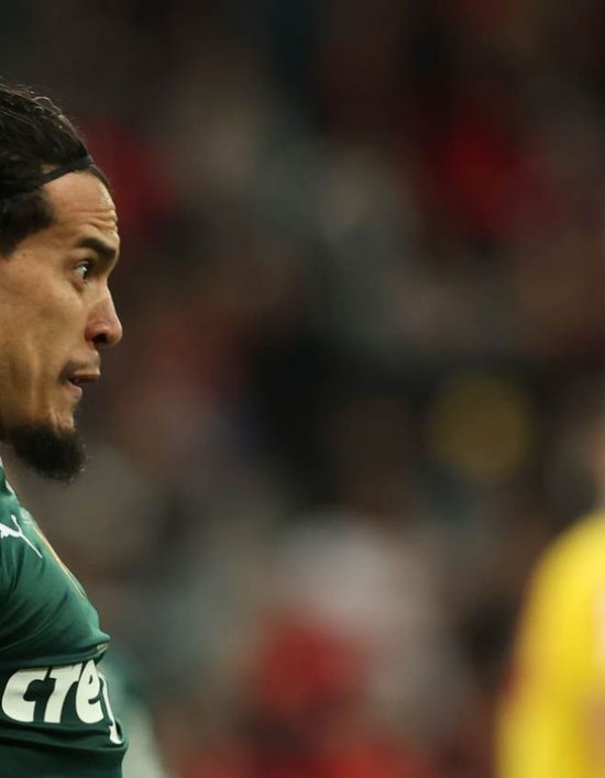 Palmeiras é campeão da Série A do Brasileirão 2022