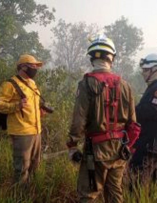 Sorp reforça fiscalização em terrenos baldios e queimadas apresentam redução de 53%