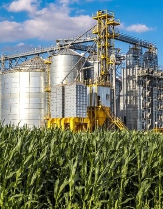 Agroindústrias em MT emprega 77 mil pessoas e agrega R$ 2 bilhões na economia