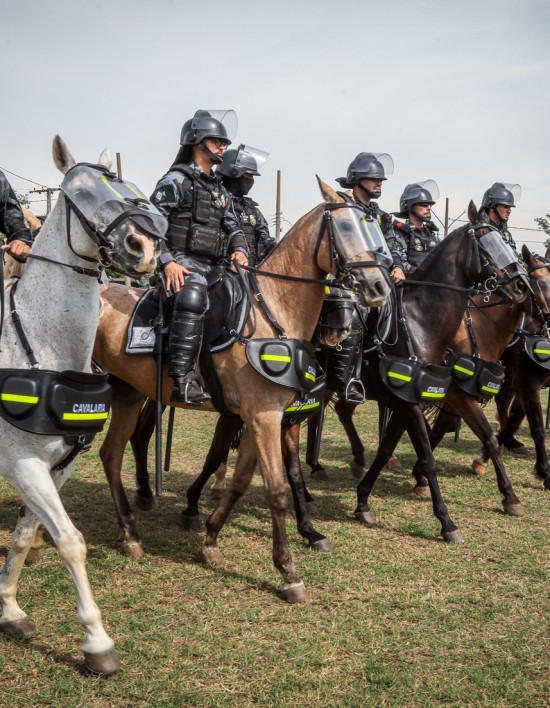 Cavalaria da Polícia Militar lança Operação Centauro em Cuiabá