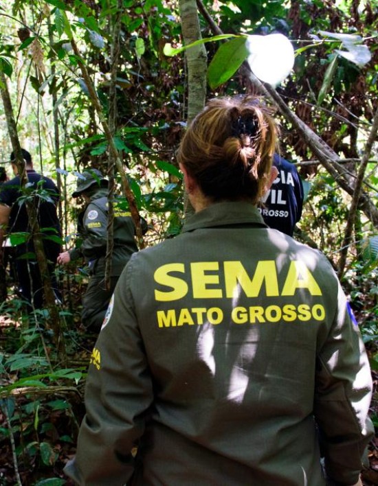 Governo de MT já aplicou R$ 303 milhões em multas por crimes ambientais em 2024