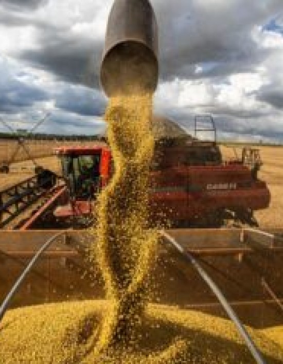 BNDES lança linha de crédito de R$ 10 bilhões para impulsionar o agronegócio