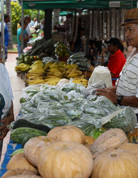 Praça Alencastro recebe 3ª edição da Feira de Produtores de Pequenas Propriedades e Agricultura Familiar nesta quarta-feira (5)