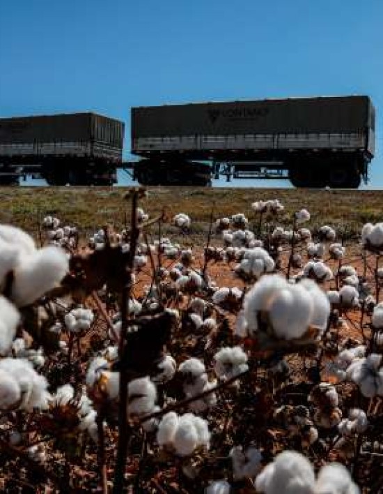 Mato Grosso e Mato Grosso do Sul devem liderar crescimento do PIB em 2025