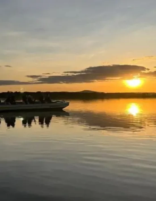 SebraeMT oferece bolsas para desenvolver pequenos negócios no Pantanal e Cerrado