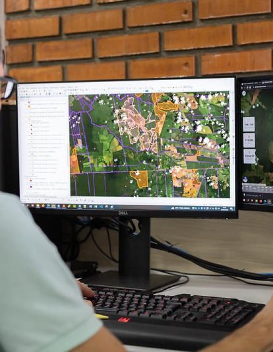 Mato Grosso reduz 43% do desmatamento em 2024 e lidera ações de fiscalização na Amazônia