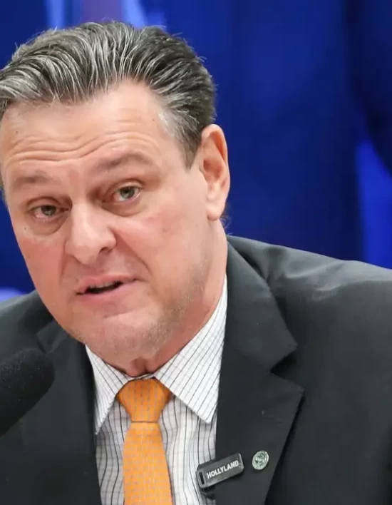 Gripe aviária não deve impactar preço da carne de frango, diz ministro