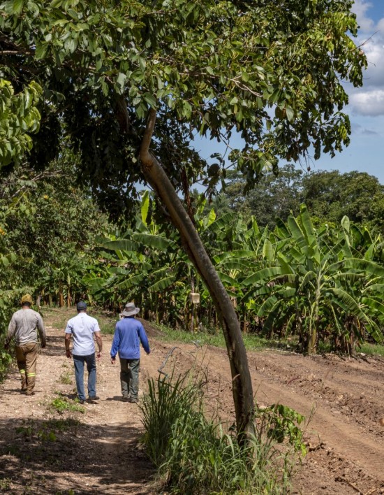 Políticas públicas transformam a agricultura familiar mato-grossense e fomentam a renda de produtores