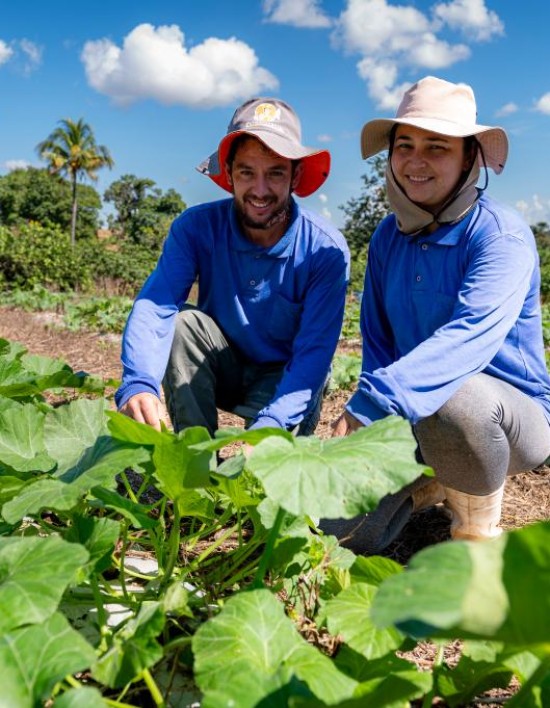 Governo de MT investiu R$ 720 milhões na agricultura familiar