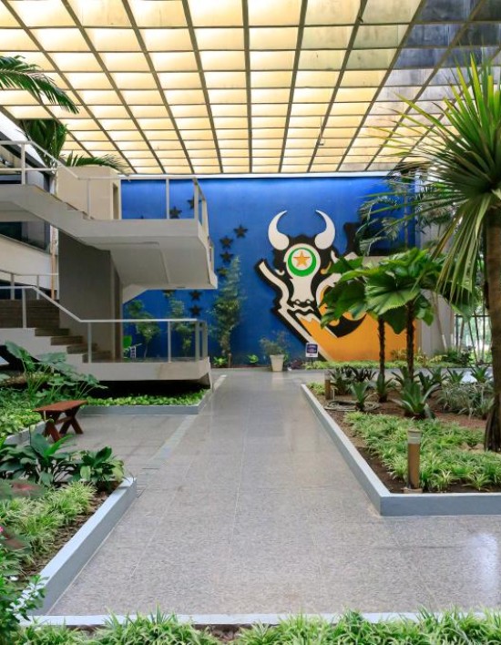 Governo de MT impulsiona desenvolvimento do Estado com redução de impostos para cidadão