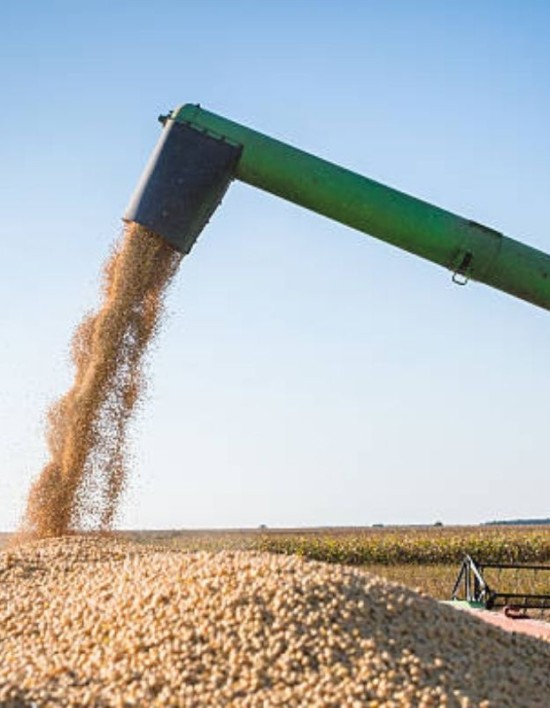 Agropecuária impulsiona crescimento do PIB brasileiro em 2025