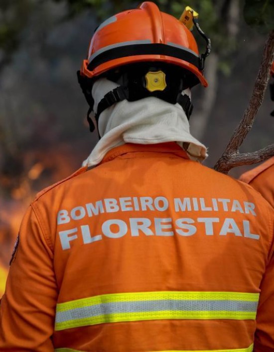 Uso do fogo em área do Pantanal está proibido a partir deste domingo (1º)