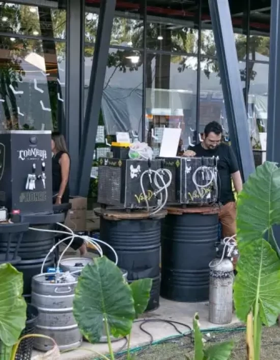 Rota da Cerveja Artesanal atrai turistas do Brasil e do mundo e fomenta produção da bebida em MT
