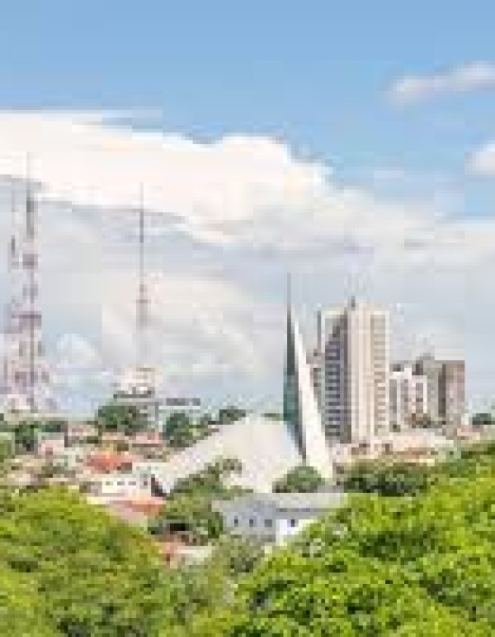 Plano Diretor de Arborização Urbana precisa sair do papel em três meses