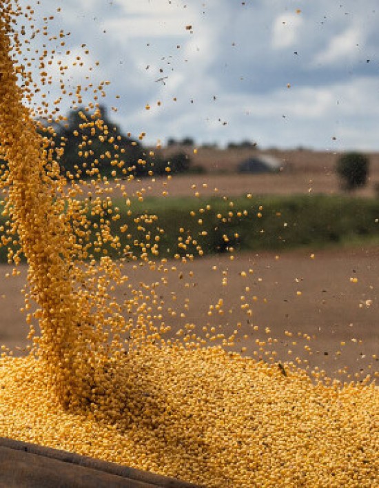 Agronegócio de MT é considerado 'motor' da economia brasileira