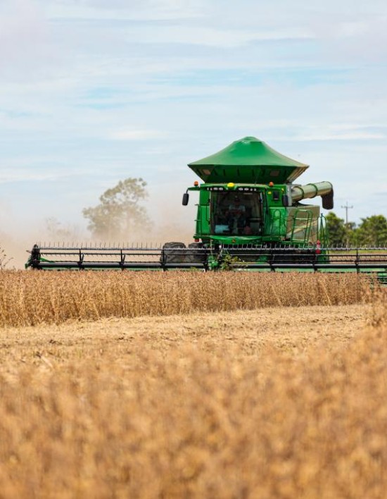 Mato Grosso consolida protagonismo na produção mundial de grãos e fibras