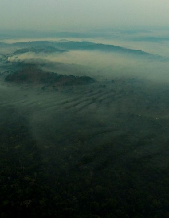 Fogo atinge Parque Cristalino há um mês, aponta observatório