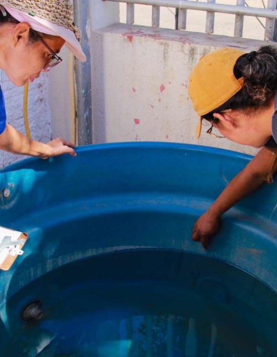 Agentes de Endemia realizam levantamentos ‘in loco’ nos bairros de Várzea Grande