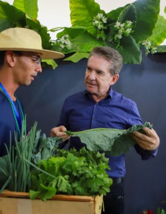 Sérgio Ricardo afirma que Indea trava desenvolvimento e defende 100% da merenda escolar com agricultura familiar