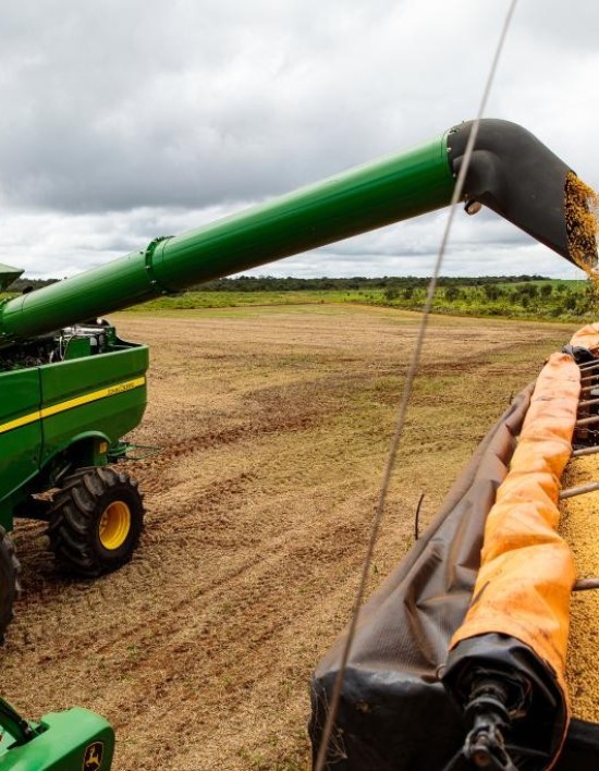 Mato Grosso tem safra recorde e colhe 111,9 milhões de toneladas de grãos em 202425