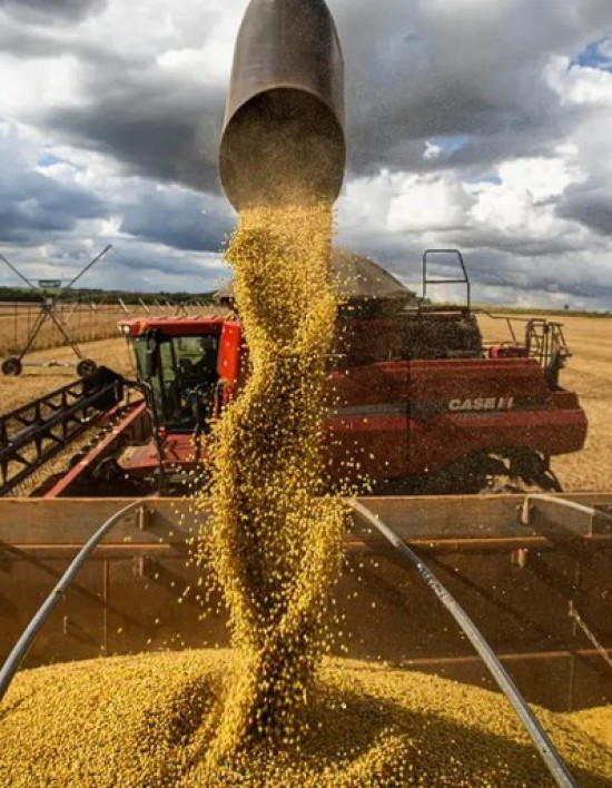Mato Grosso amplia área produtiva e produtividade e chega a 111,9 milhões de toneladas de grãos na safra 2425