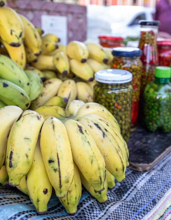 10ª Feira da Agricultura Familiar e Solidária movimenta Praça Alencastro