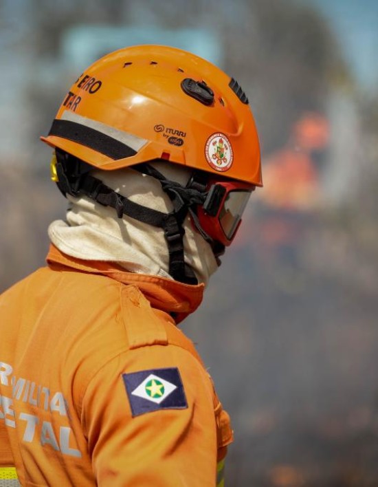 Corpo de Bombeiros combate 22 incêndios florestais nesta quarta-feira (8)