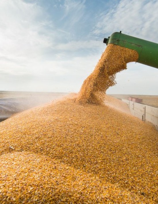 Governo do Brasil projeta novo recorde e safra de 354,7 milhões de toneladas de grãos em 202526