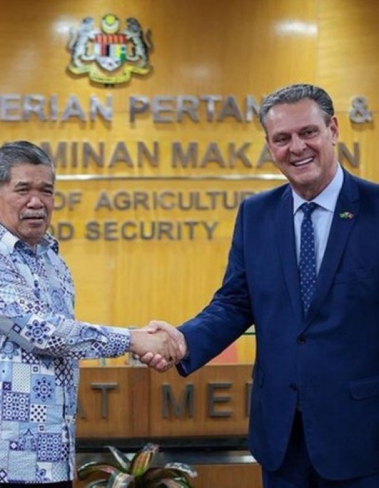 Brasil retoma exportações de carne de frango para a Malásia e conquista seis novos mercados