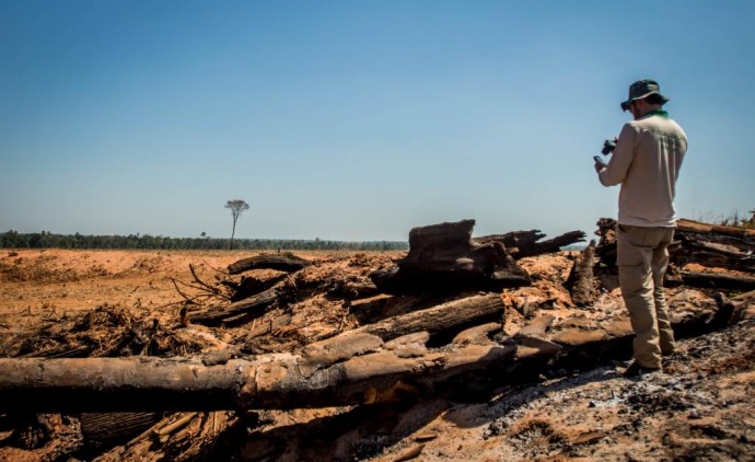 Mato Grosso aplicou R$ 1,2 bilhão em multa por crimes ambientais em 2022