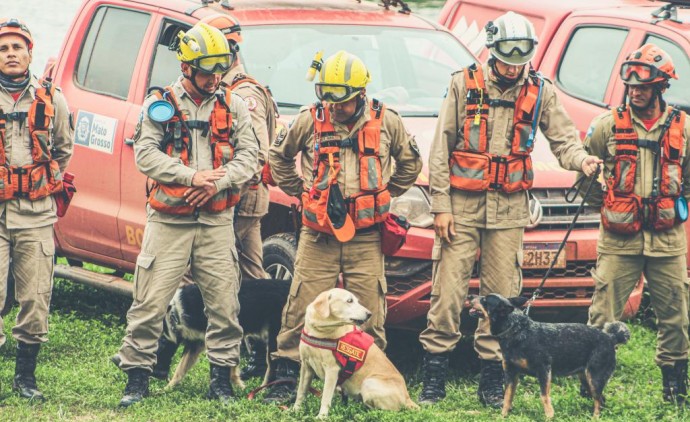 Política MT segurança MT Corpo de Bombeiros realiza simulado de resgate com cães