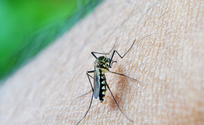 Número de casos de dengue cai em Cuiabá, aponta boletim
