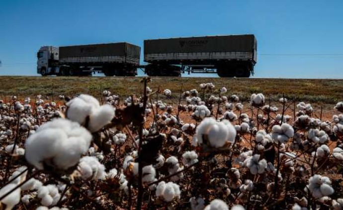 Mato Grosso e Mato Grosso do Sul devem liderar crescimento do PIB em 2025