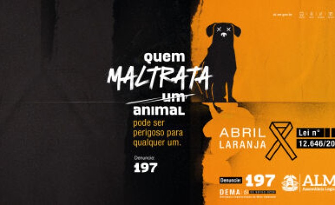 Campanha da ALMT para conscientizar sobre abuso contra animais é destaque em site internacional