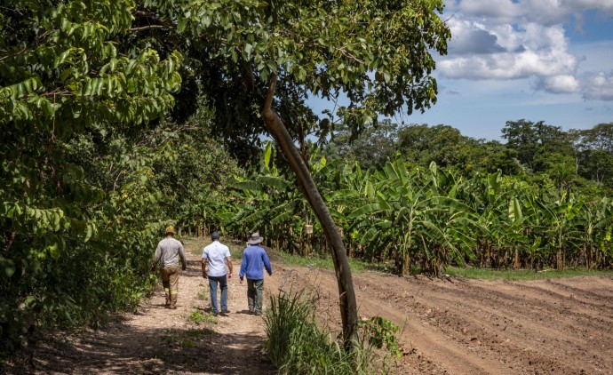 Políticas públicas transformam a agricultura familiar mato-grossense e fomentam a renda de produtores
