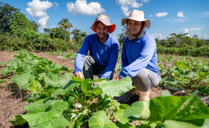Governo de MT investiu R$ 720 milhões na agricultura familiar