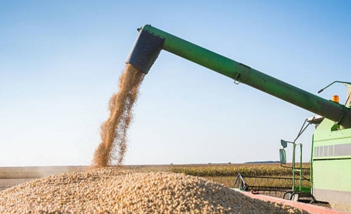 Agropecuária impulsiona crescimento do PIB brasileiro em 2025