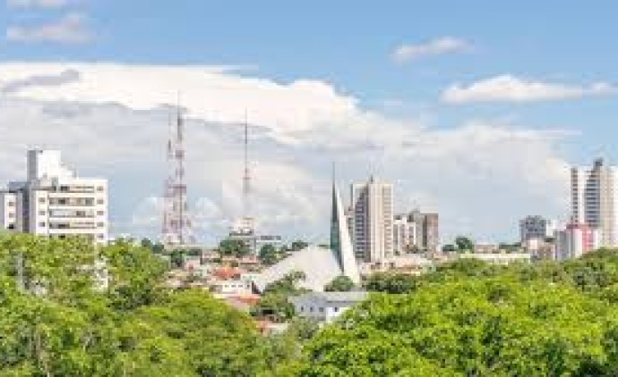 Plano Diretor de Arborização Urbana precisa sair do papel em três meses