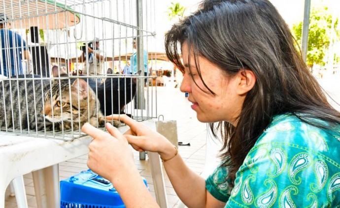 Diretoria de Bem-Estar Animal promove mais uma edição da feira de adoção voluntária de pets