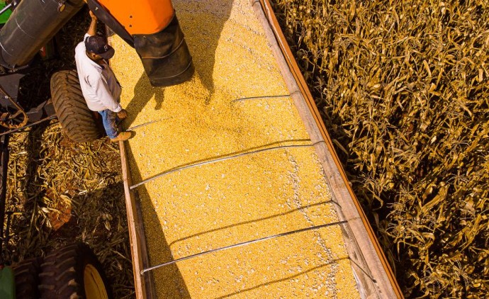 Mato Grosso lidera saldo da balança comercial brasileira no primeiro semestre de 2025