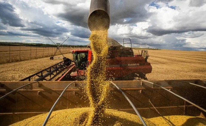 Mato Grosso amplia área produtiva e produtividade e chega a 111,9 milhões de toneladas de grãos na safra 2425