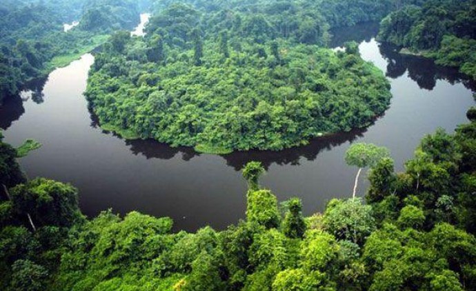 Governo de MT e O.N.E. Amazon firmam convênio de US$ 100 milhões para preservação da Amazônia
