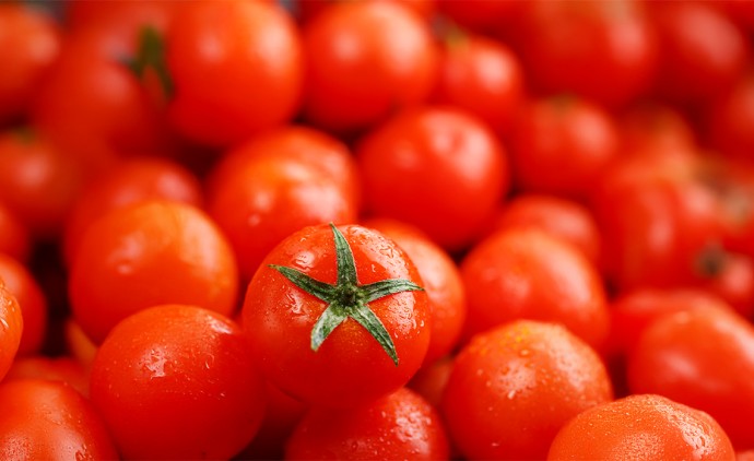 Tomate interfere novamente no custo da cesta básica em Cuiabá; dessa vez, ficando mais caro