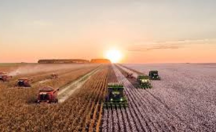 Agroindústria abre nova frente de expansão em MT e impulsiona PIB acima da média nacional