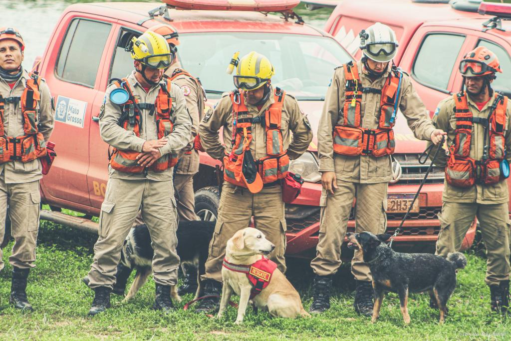 Política MT segurança MT Corpo de Bombeiros realiza simulado de resgate com cães