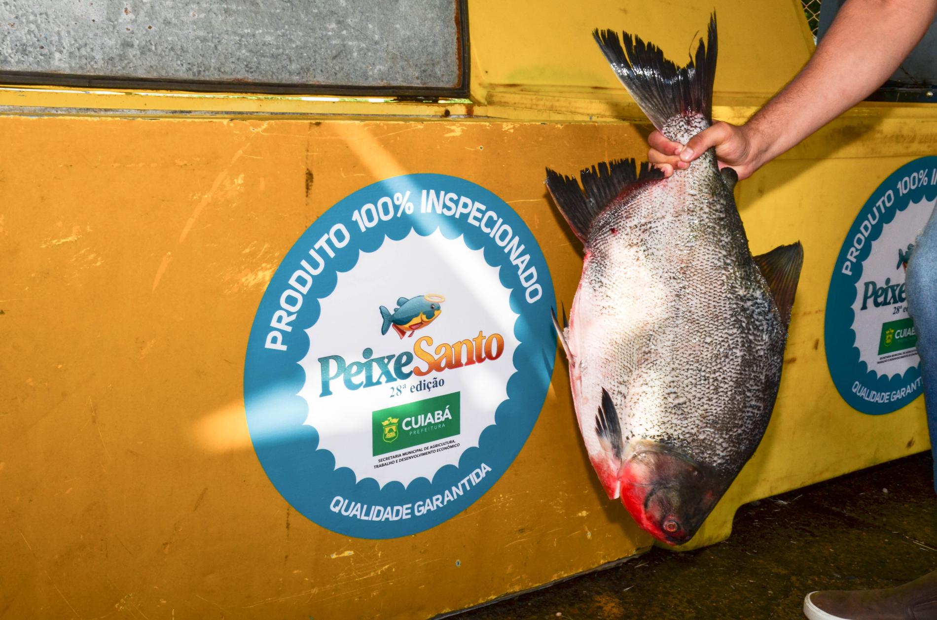 Prefeitura tomará providência para punir empresa responsável por desistir de fornecimento do Peixe Santo